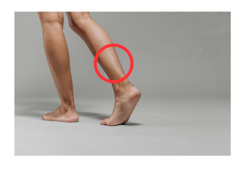 ふくらはぎ